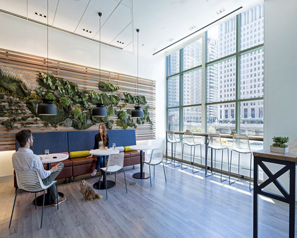 <a href=http://www.zhuang520.com/pictrue/bgs target=_blank class=infotextkey><a href=http://www.zhuang520.com/pictrue/bgs target=_blank class=infotextkey>青岛品牌装修公司办公室装修效果图</a></a>